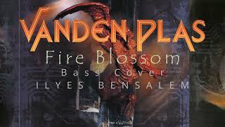 VANDEN PLAS  FIRE BLOSSOM  Bass Cover [upl. by Dru]