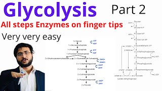 Glycolysis pathway  Carbohydrate Metabolism  Easy way  Steps of glycolysis  Enzymes  Part 2 [upl. by Armando]