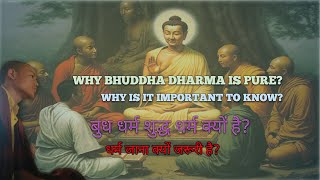 DHARMA The CONCLUSION  WHY BHUDDHA DHARMA IS PURE amp WHY IS IT IMPORTANT TO KNOW DHARMA [upl. by Nohsyar]