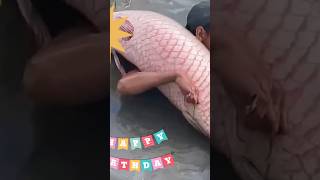 কি করছে দেখুন fishing  fish 🐠 🔥 [upl. by Cassil]