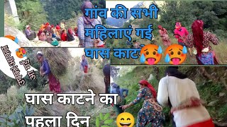 घास 🌿 काटने ka पहला दिन l। village life pahadi lifestyle vlog leelanegivlog uttrakhandi 🌄 [upl. by Ellicott]