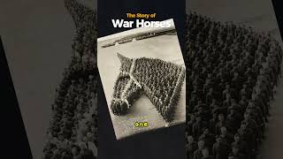 The Respect and the Truth The Drama of War Horses history historyfacts [upl. by Ynnos]