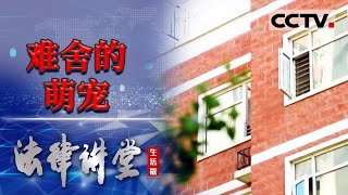 《法律讲堂生活版》离婚不争房子不争钱 只争夺小狗的归属权 20231130  CCTV社会与法 [upl. by Gabler400]