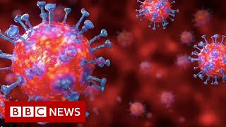 Coronavirus explained in 60 seconds  BBC News [upl. by Osgood]