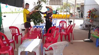 Harvesting vối leaves to sell for iced tea shop planting gourds and planting chayote [upl. by Adamo]