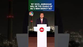 Mukesh Ambani By 2025 Jamnagar Will Be The Cradle Of RILs New Energy Biz  RIL AGM  N18S [upl. by Nylrem]