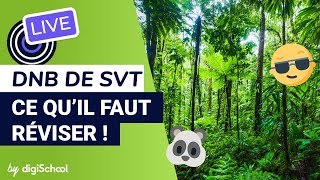 SVT  que fautil connaître pour le brevet [upl. by Lucias944]