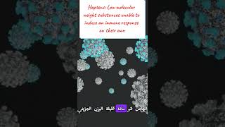 Immunogen Antigen Haptens amp Epitopes مفاهيم مهمة لفهم المناعة medicalstudent lnl immunology [upl. by Annaj]