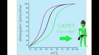 OxygenHemoglobin Dissociation Curve Mnemonic [upl. by Itnahs]