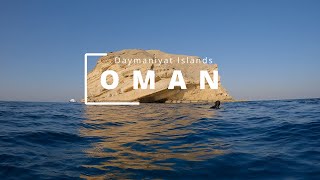 Oman Daymaniyat Islands 2022 [upl. by Ayatahs]