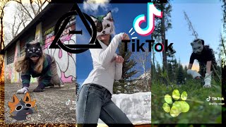 Therian and Quadrobics TikToks  Compilation 🐾⭐️🌿 Alterhumans of TikTok 85 [upl. by Aisetra]