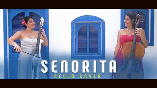 Senorita  Zindagi Na Milegi Dobara  Cello Instrumental Cover  wwwsoundspiritin [upl. by Mandel]