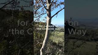 Sunshine on the Cotswold Way cotswold cotswolds travel hiking hikingadventures [upl. by Tarr]