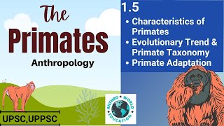 15 Characteristics of Primates Evolutionary Trend and Primate Taxonomy Primate Adaptation  UPSC [upl. by Drofliw555]