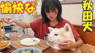 愉快な家族・秋田犬そうすけ君と孫達の想い出 [upl. by Hulburt]