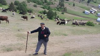 yüreklere işleyen türküler  dertli köy türküleri quot çok özel köy türküleri✔️ [upl. by Prasad]