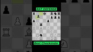 Rat DefenseSmall Center Defense My Best Checkmate Ever  chess [upl. by Ellekcir786]