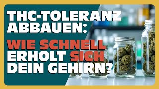 THCToleranz ABBAUEN Wie SCHNELL ERHOLT sich dein GEHIRN [upl. by Riana]