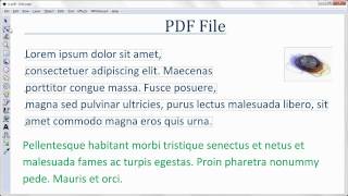 How to Edit PDF Files [upl. by Ahsrat788]