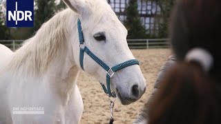 Tierschutz Die Tierflüsterer  DIE REPORTAGE  NDR Doku [upl. by Aenej]