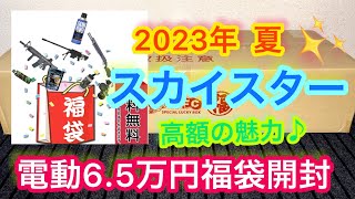 『2023年夏エアガン福袋』 スカイスターさん夏の65万円高額電動ガンを開封してみました！ フォースター系列福袋 [upl. by Garrik]