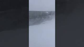 Extreme Wind amp Whiteout Conditions palisadestahoe skiing winter [upl. by Dave334]