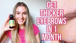 I Used Castor Oil For Thicker Eyebrows It Really Works 1 month experiment [upl. by Tiedeman217]