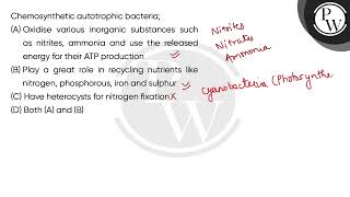 Chemosynthetic autotrophic bacteria [upl. by Idner]