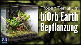 Regenwaldterrarium einrichten amp bepflanzen  AquaOwner [upl. by Abad923]