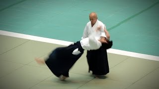 Aikikai Aikido  Osawa Hayato Shihan  54th All Japan Aikido Demonstration 2016 [upl. by Negaet]