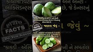 અંજાન હકીકત નું રહસ્યમય સત્ય  અકલ્પનિય facts shorts youtubeshort viralvideo trending [upl. by Hawk]