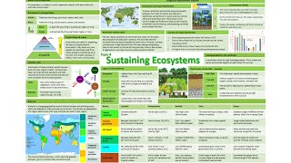 Sustaining Ecosystems Podcast Part 1 Ecosystems and Biomes with Tropical Rainforests [upl. by Nanni]