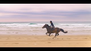 Wild Horse Riding on Perranporth Beach  Travel Channel [upl. by Fidela]