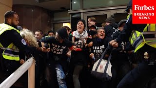 Wild Footage Capitol Police Clash With ProCeasefire Protesters Outside DNC Headquarters In DC [upl. by Trebled]