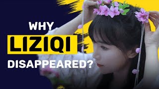 Why Li Ziqi Stopped Uploading Videos [upl. by Aietal]