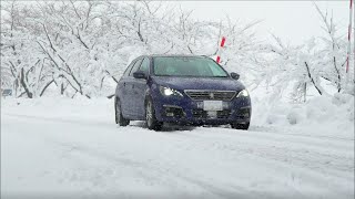 オールシーズンタイヤ 雪上性能インプレッション｜ALL SEASON MAXX AS1｜ダンロップ [upl. by Ahsilem]