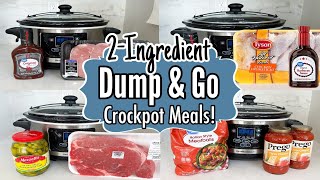 10 Cheap amp Fancy Crockpot Dinners  The EASIEST 2Ingredient Slow Cooker Recipes  Julia Pacheco [upl. by Akcired251]