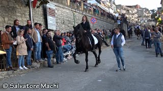 Vicari PA  Sfilata equestre  2 parte  2024 [upl. by Anitnamaid458]