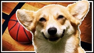 Puppy Picks March Madness Winners [upl. by Ttergram981]