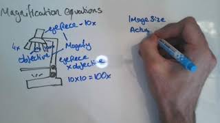 Magnification Equations GCSE [upl. by Aitnic]