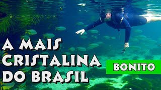 A ÁGUA MAIS CRISTALINA DO BRASIL FLUTUAÇÃO NO RIO SUCURI EM BONITO MS  BRASIL  Viaje Por Conta 42 [upl. by Souvaine228]