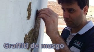 Como hacer un Graffiti de musgo [upl. by Swirsky]