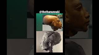 Akhenaten 4biddenknowledge anunnaki christianity islam religion [upl. by Godbeare]