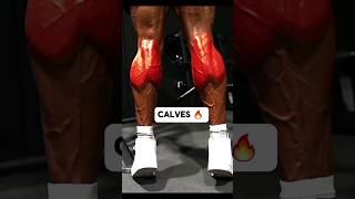 Sculpt Strong Calves  Effective Workout Tips and Exercises [upl. by Buckler]