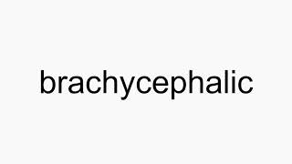 How to pronounce brachycephalic [upl. by Marchall815]