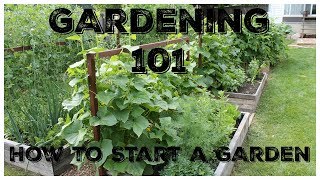 Gardening 101 How To Start A Garden [upl. by Babcock]