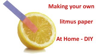 Make Litmus Paper from A4 Paper at Home By Yourself  DIY [upl. by Noakes698]