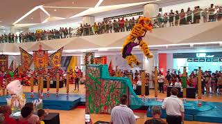 Putrajaya Kwong Ngai  Acrobatic Lion Dance 布特拉再也光藝醒獅團 [upl. by Sidonie]