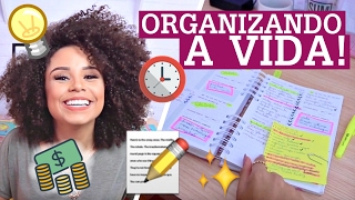 COMO ORGANIZO MINHA VIDA  agenda rotina planner postit metas  por Ana Lídia Lopes [upl. by Nellad]