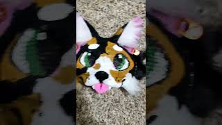 calico cat mask for Paddlepaws  🎀 calicocat furry therian mask cute quadrobics [upl. by Oster424]